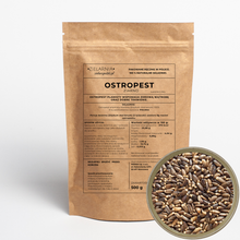 Ostropest plamisty ziarno 500g
