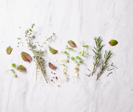 Zatoki pod ochroną – ziołowa strategia walki z bólem zatok