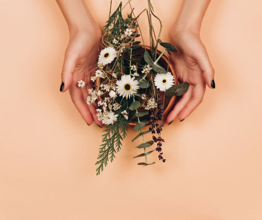 Zioła dla kobiet – naturalne wsparcie dla równowagi hormonalnej i zdrowia