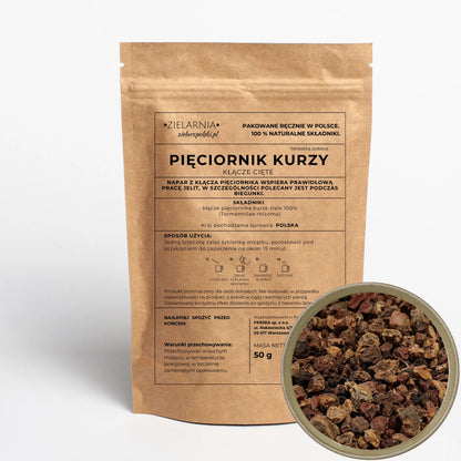 Pięciornik kurzy kłącze 50g
