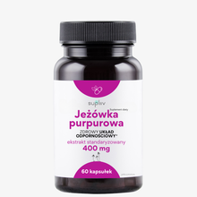 Jeżówka purpurowa ekstrakt 60 kapsułek